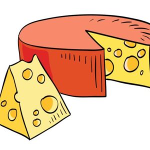 QUESO CURADO Y SEMICURADO